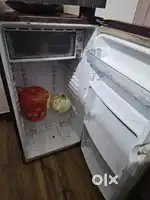 Fridge hair