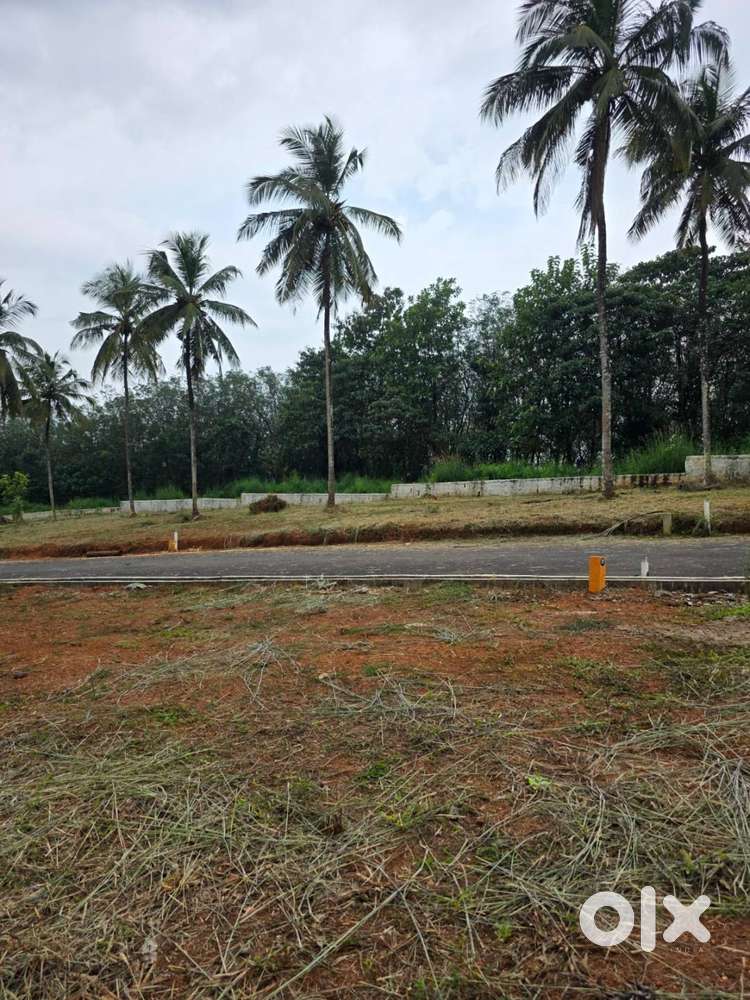 9 Cent House plot for sale in Viyyakurissi,Palakkad