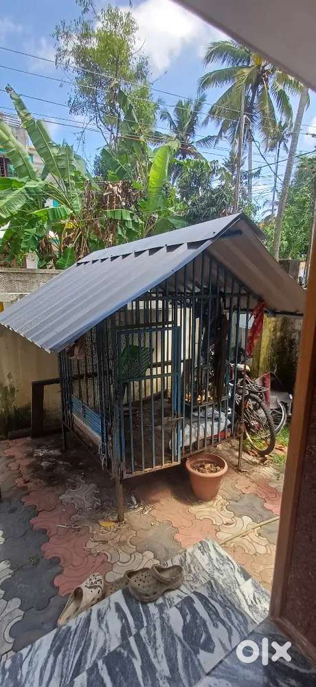 Dog cage for sell at Kazhakuttom