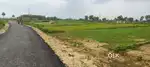 B. Ed college pharmacy college technology college etc opening