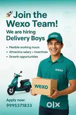 Delivery Executive Needed