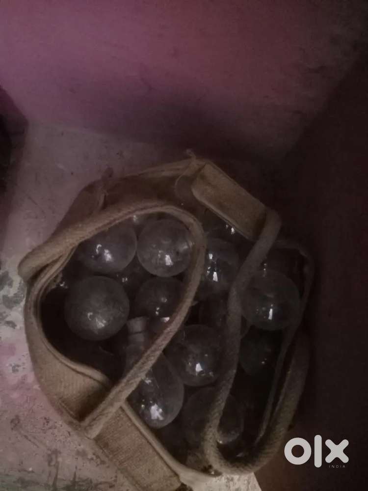 Kundu Bulp