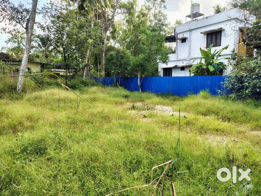 3.5  Cents house plots east of Kalavoor junction Alappuzha.