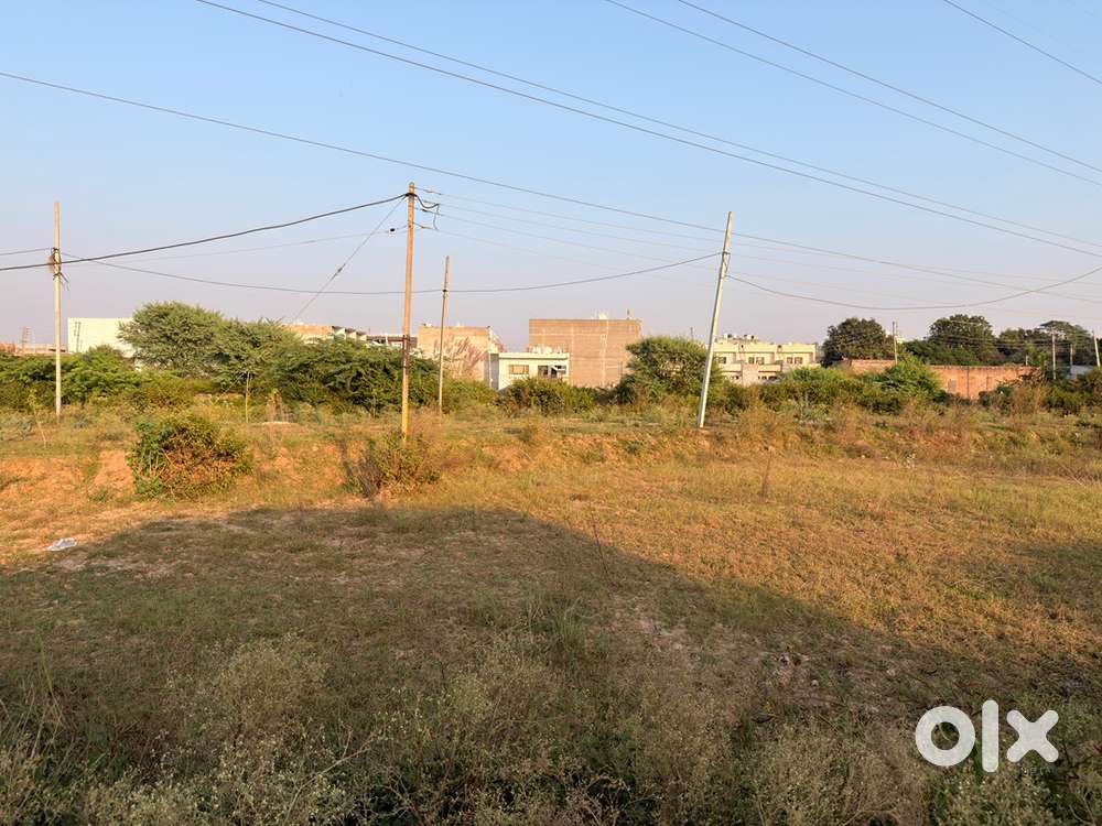 Plot For Sale in Ajit City Sector 115