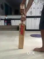 MRF Champ Kashmir Willow Cricket Bat (Size:6)