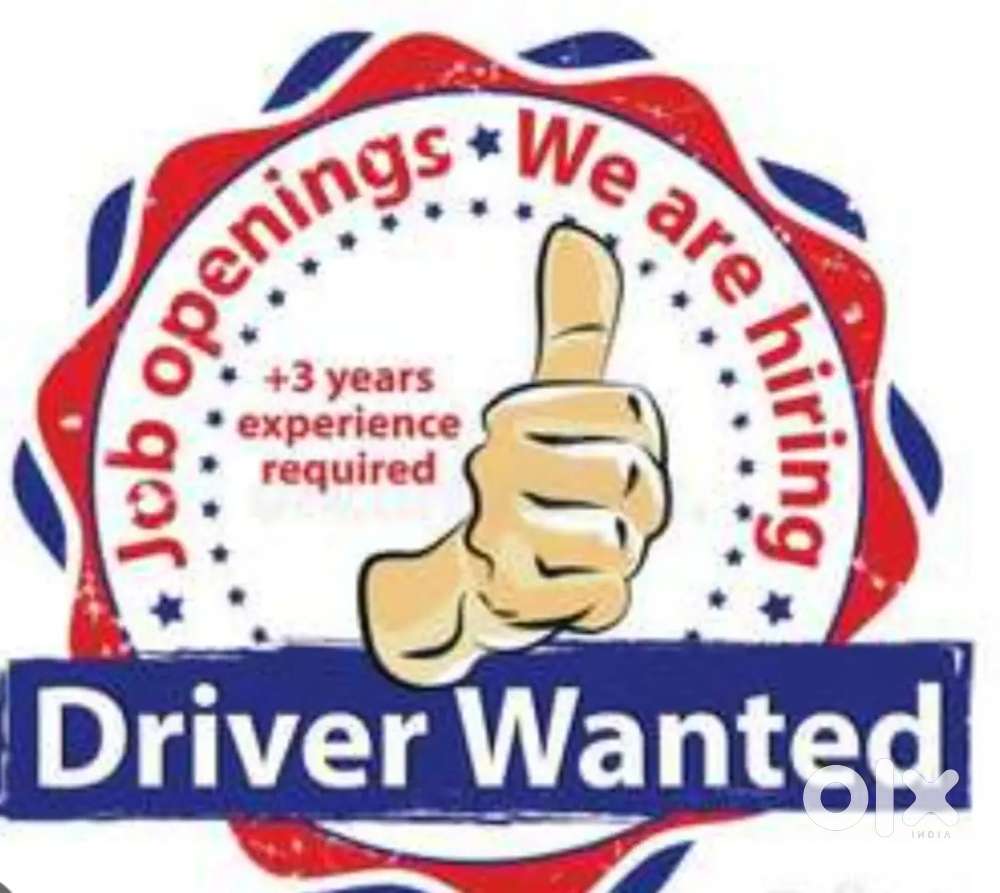 Required 0refessional drivers to run cars on taxi