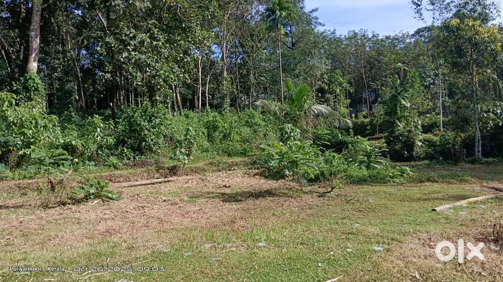 ചേർപ്പുങ്കൽ cnt വില 53000/-45cnt, med city അടുത്തു വഴി, വെള്ളം