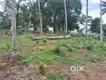 Residential property for sale at Sulthan bathery