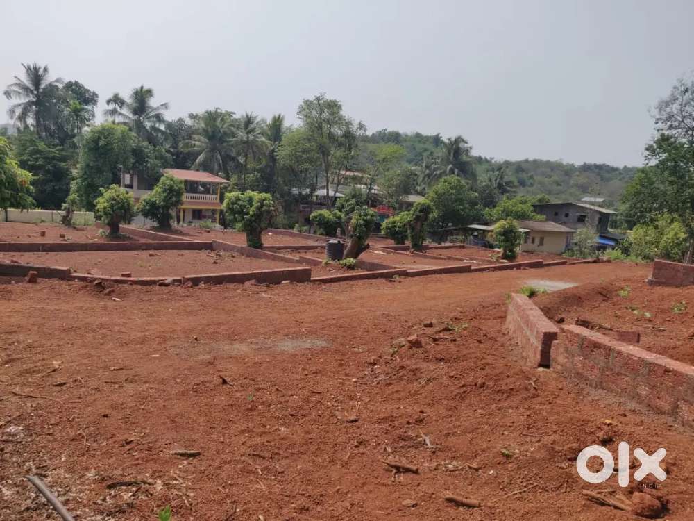 NA plot in ghimhavne Dapoli