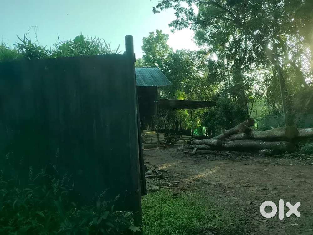 Muvattupuzha marady 1 acre for sale