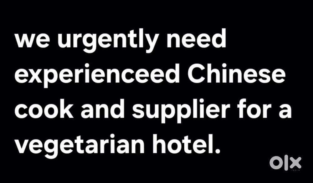 Experienced Chinese cook and supplier for vegetarian hotel