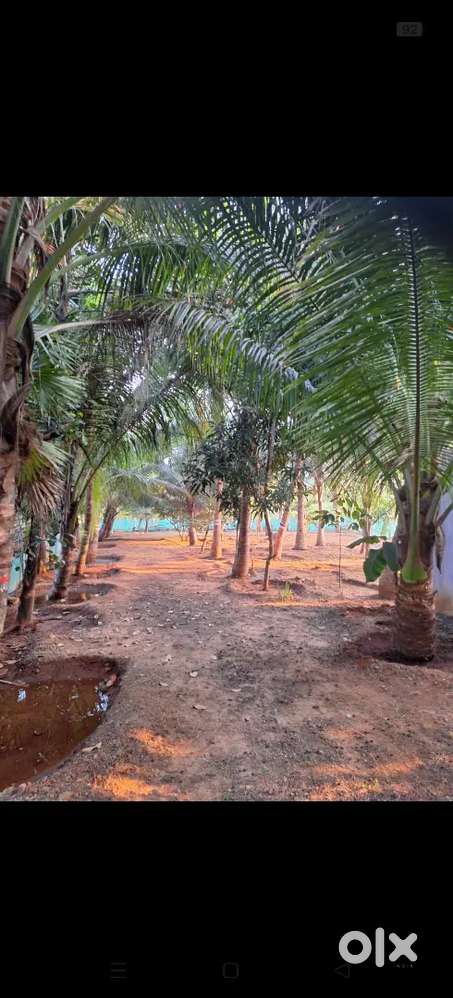 FRAM LAND ECR KADAPAKKAM FULLY COMBOUND ALL THREE AVAILABLE GOOD WATER