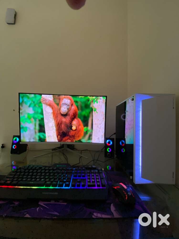 6 Months old full PC setup