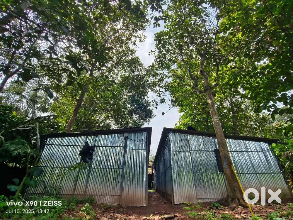 Ready Mushroom Farm 1600 sq ft – Sheds, Hangers,  Fans, M-Sand Cooling