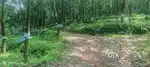 3 ഏക്കർ റബ്ബർ THOTTAM  MUVATTUPUZHA (KARIMATTOM)