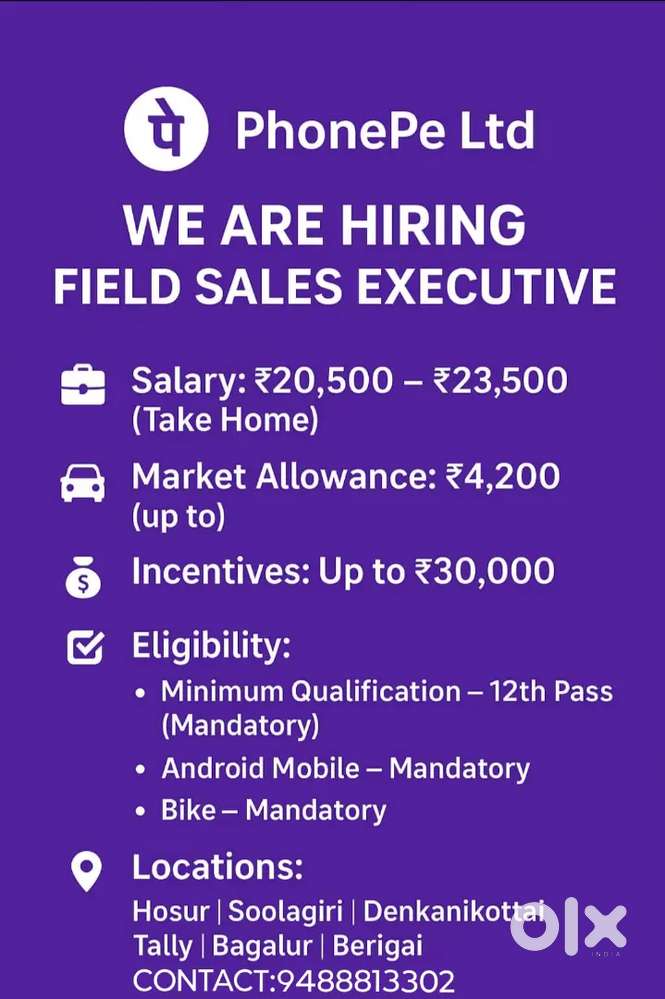 BUSINESS DEVELOPMENT EXECUTIVE