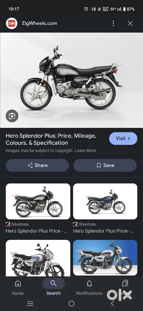 Newly candishan bick