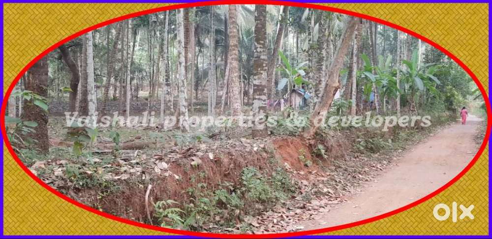 18 cents House Plot for sale in Methottuthazam near Pottamal