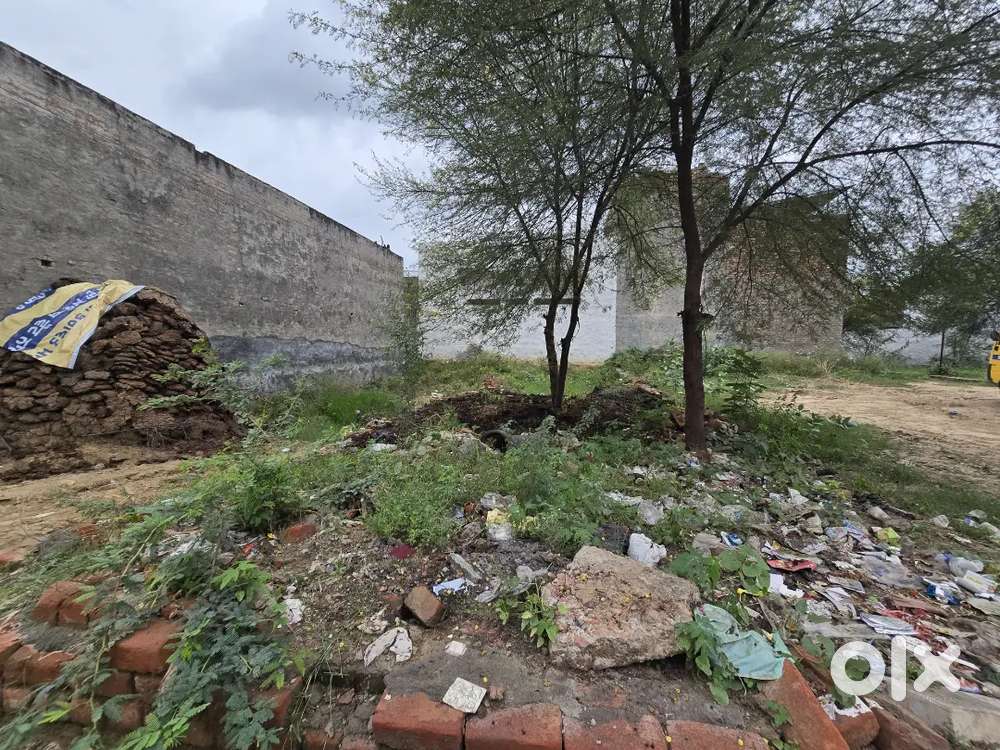 15*60 plot near holy heart school jind  25000rs per gaj  Negotiable