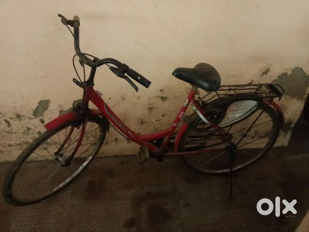 Ladies Cycle