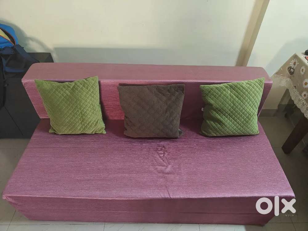 Non Wooden Sofa cum bed