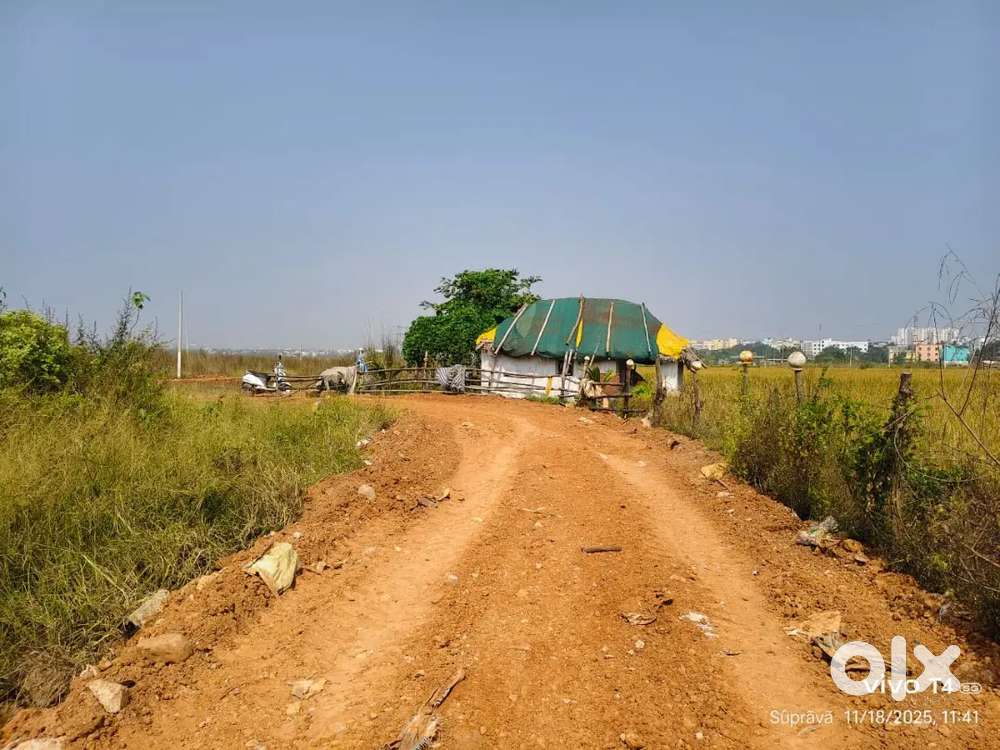 Allms hospital back side