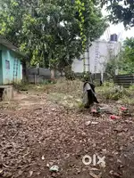Patta Land sale
