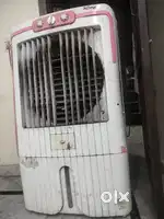 Big asian cooler