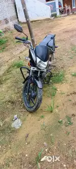 CB Shine 125