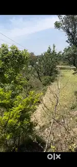 700 gaz land available for sale at Ladror kalan, Himachal