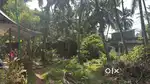 10-cent residential plot available for sale near Dharmadam Beach.