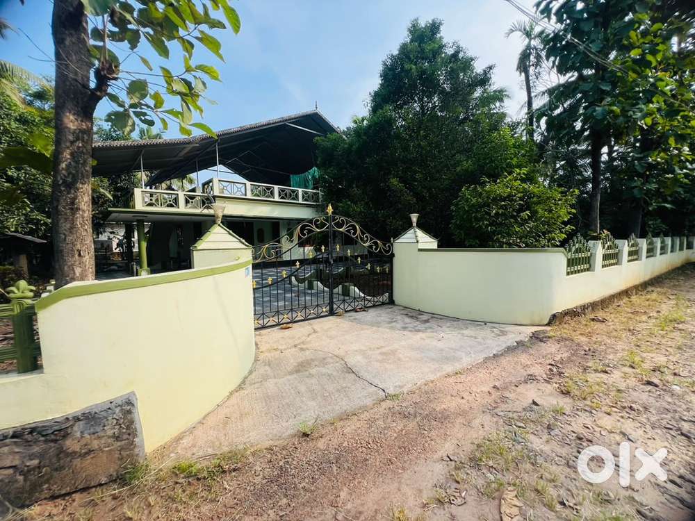 30 cent land including house for sale at Kariyad, Athani NH 600 mtr