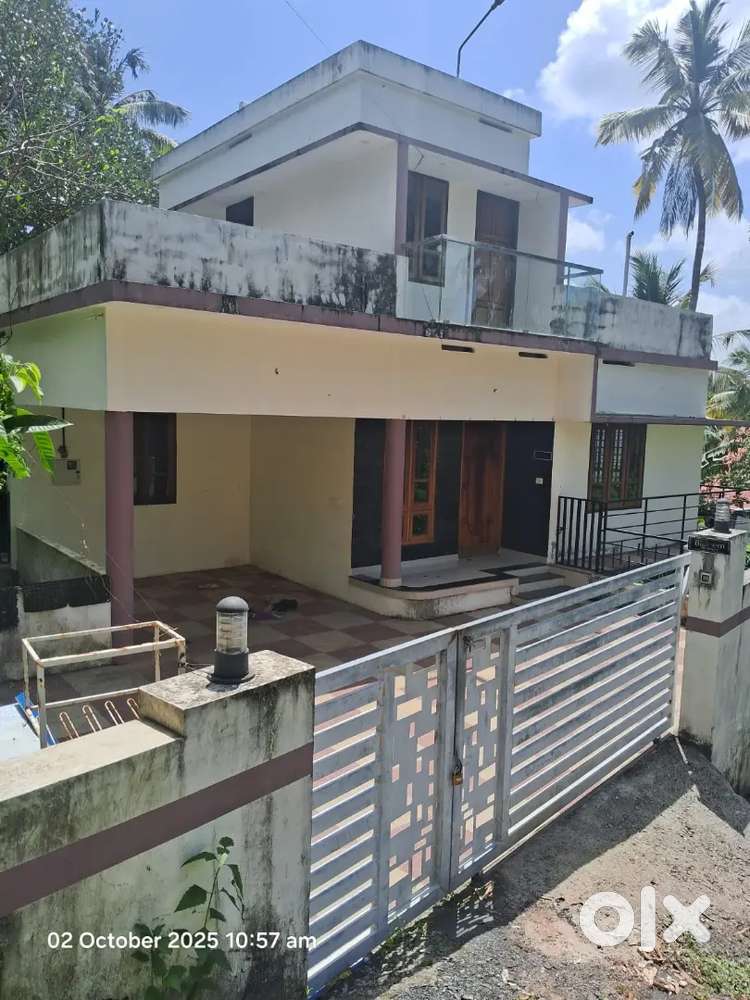 4 cent with House with cellar for sale