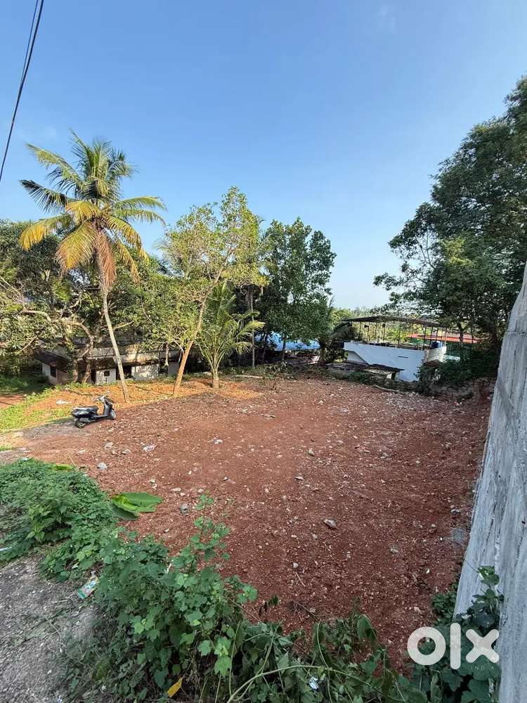 11 സെന്റ് വീട് നിർമിക്കാൻ അനുയോജ്യമായ പ്ലോട്ട് വില്പനയ്ക്ക്