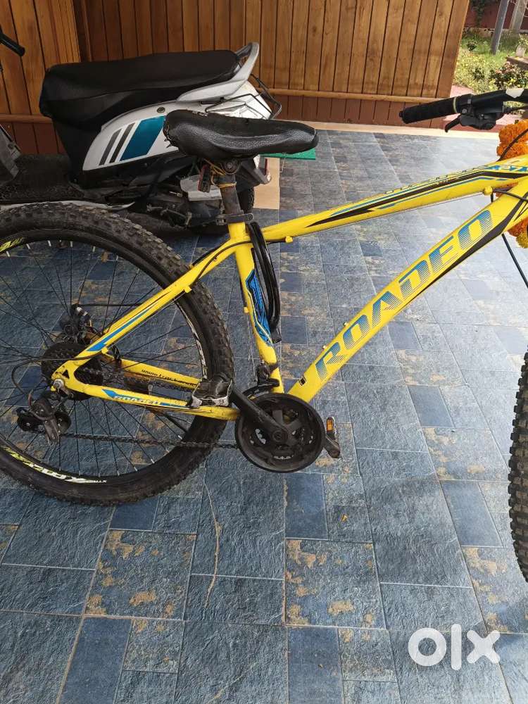 Raodeo cycle
