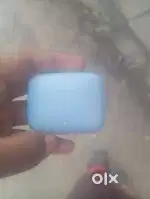 Bolut Air buds