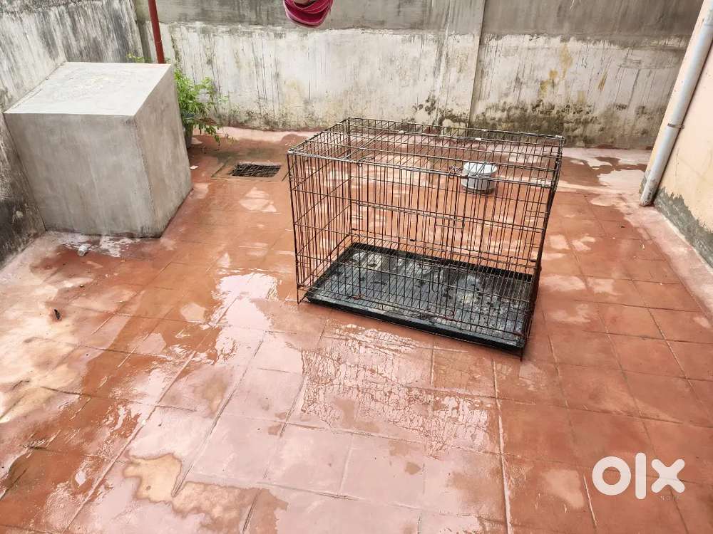 Rarely used Dog cage for sale