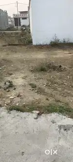 Urgent hai