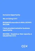 Sales manager