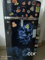 3 years old