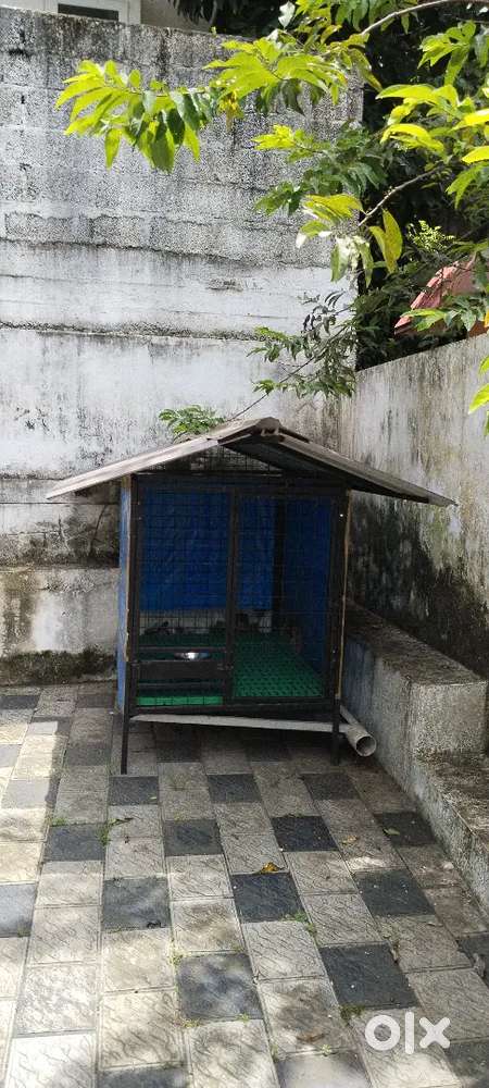 Dog Cage for sale