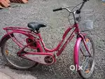Ladybird Bsa