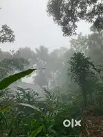 91 cent pattayam land for sale