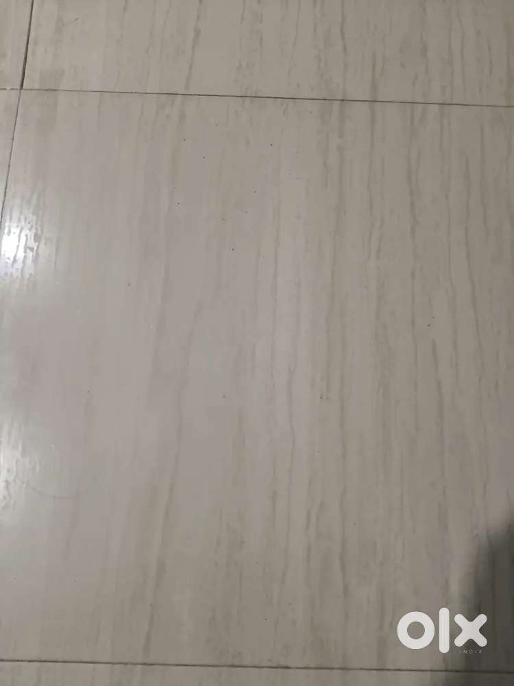 Work in Vegetable Shop