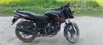Pulsar 125 November 2024 model