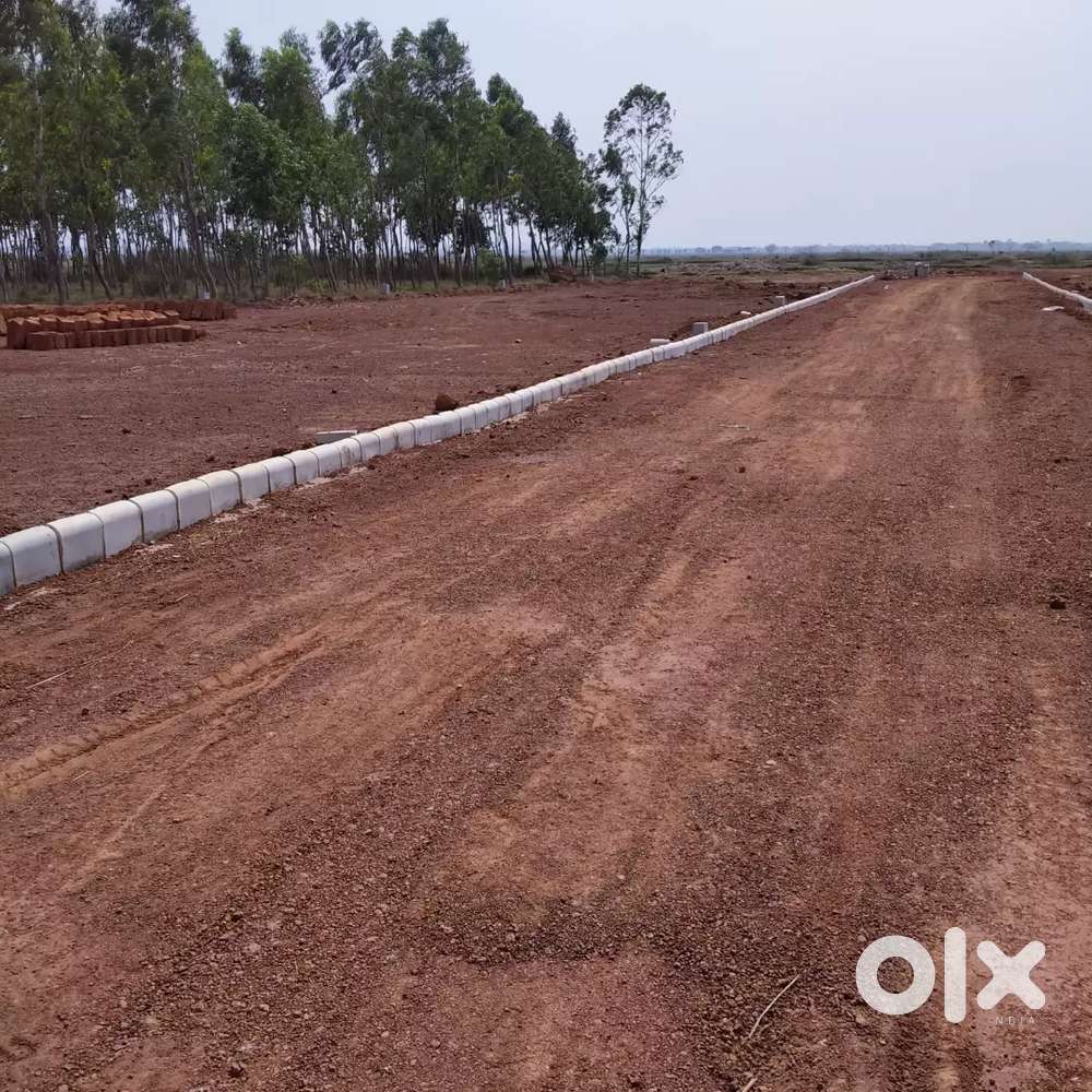 Alpha Low Budget land Available