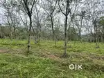 20 CENT HOUSE PLOT FOR SALE