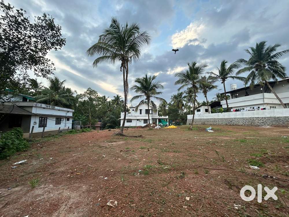 Land For Sale at Pathappiriyam, Edavanna