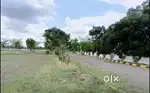 ఆకునూరు(Akunuru)లో మా CRDA వెంచర్ లో ప్లాట్స్ కలవు.గజం: 11,000 నుంచి .