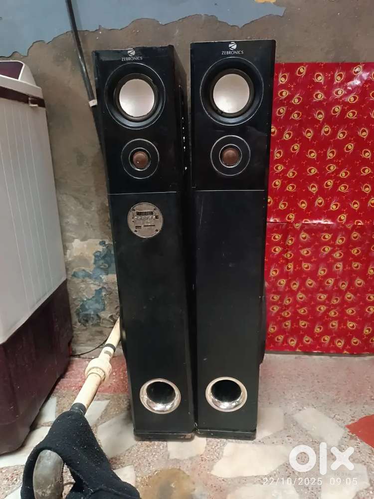 Zebronic Tower speaker
